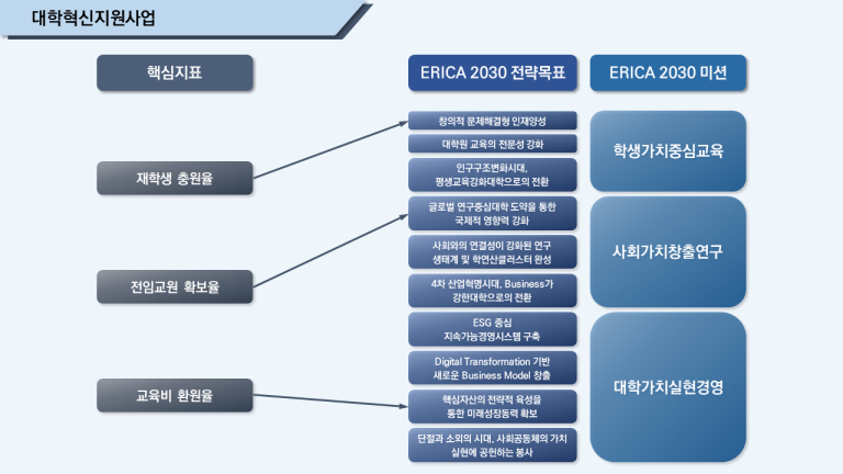 대학혁신지원사업