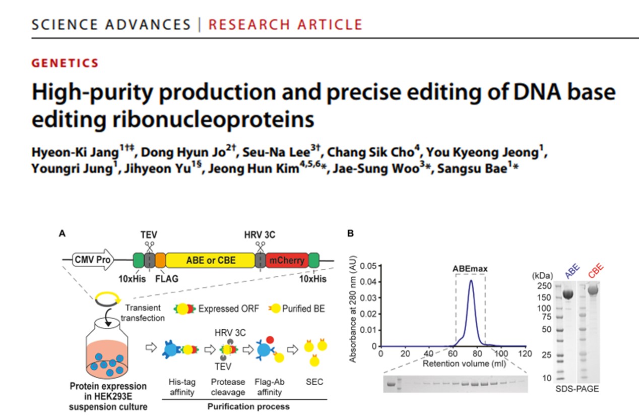 [Publication] SCIENCE ADVANCES, 2021, 7(35)